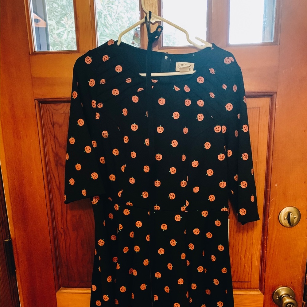 Unique Vintage Black & Orange Pumpkin Knit Dress
